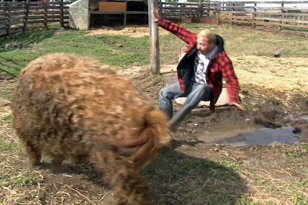 2024达盖亚旗帜回家的路_达盖亚旗帜暂停剧组 示例图 - 说明文字