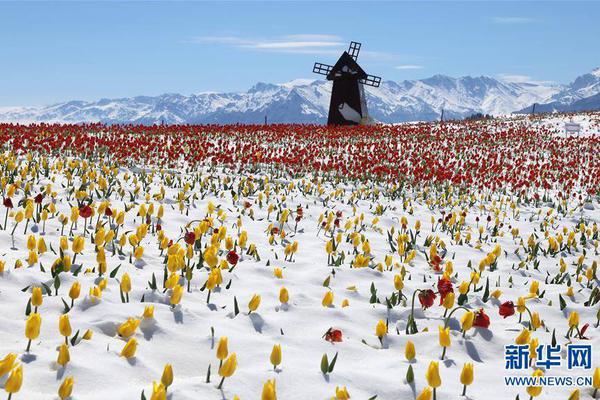 2024年管家婆100%中奖安全设计说明法 示例图 - 说明文字