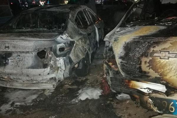 双女车车高清资源在线观看视 示例图 - 说明文字