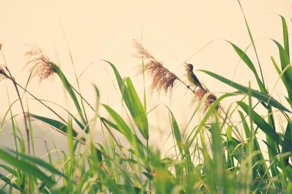 2024一元手游折扣专区，好玩小众游戏排行 示例图 - 说明文字