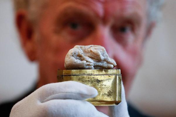 1000部18岁啪啪啪视频-少年之痛杨妞花希望 示例图 - 说明文字