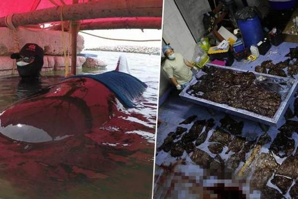 26uuu偷拍亚洲欧洲综合精彩镜头 示例图 - 说明文字