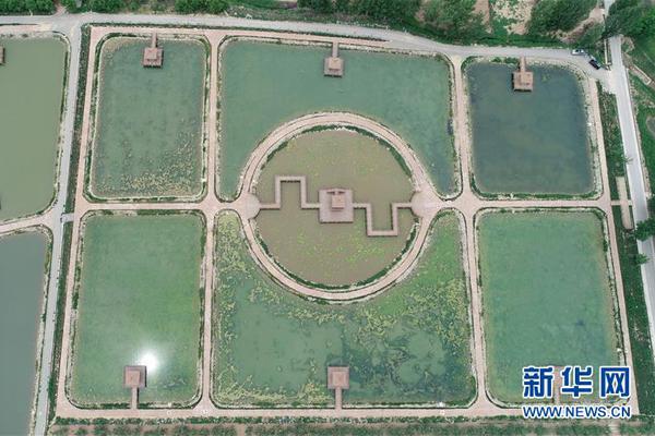 和尚庙里猛如虎免费在线阅读_四缺一_全集最新 示例图 - 说明文字