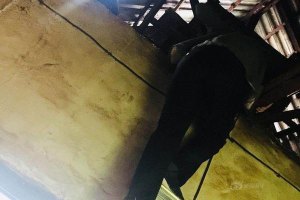 义妹生活免费在线观看-完整版-fhd日漫-新尚影院 示例图 - 说明文字