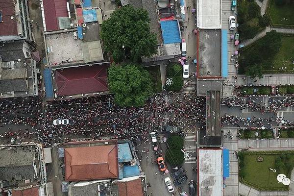 skixixwaswaskino热潮揭秘 示例图 - 说明文字