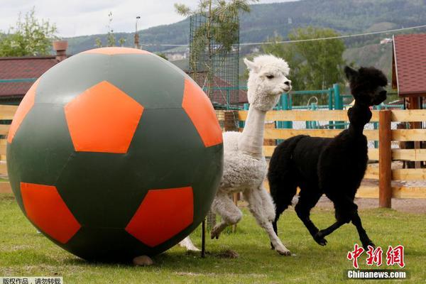 和尚庙里猛如虎免费在线阅读_四缺一_全集最新 示例图 - 说明文字