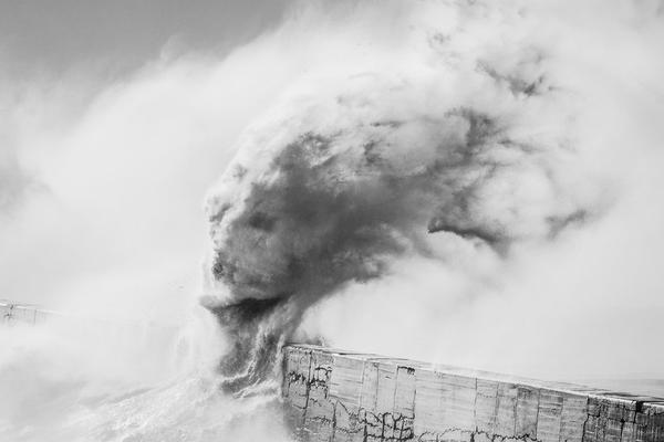 zoomservo兽-科技幻想未来生物 示例图 - 说明文字