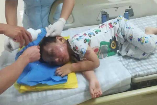 199麻豆up主吐槽盘点，内容绝，我刷了 示例图 - 说明文字