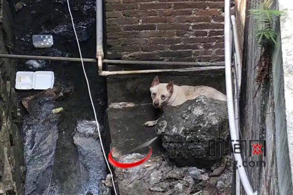 skixixwaswaskino热潮揭秘 示例图 - 说明文字