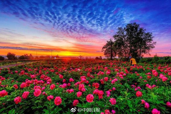 在我眉心中藏着一个独特的世界 示例图 - 说明文字