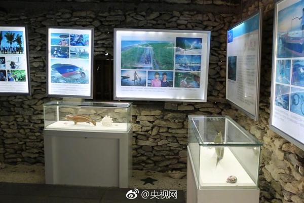 在铜器乐章中感受音乐魅力与舞蹈节奏-张家 示例图 - 说明文字