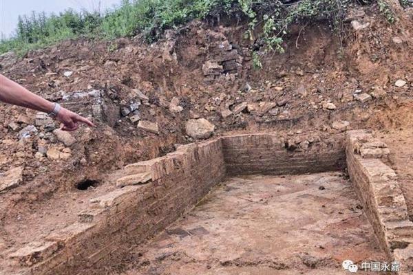 免费观看军情五处第四季电视剧完整版-英国欧 示例图 - 说明文字