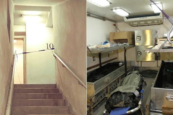 zoomservo兽-科技幻想未来生物 示例图 - 说明文字