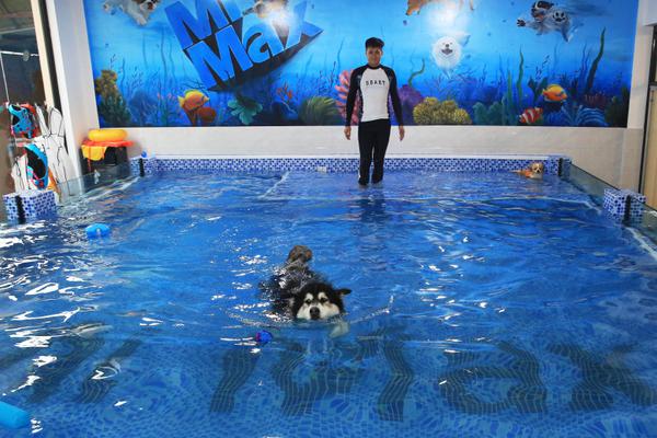 26uuu偷拍亚洲欧洲综合精彩镜头 示例图 - 说明文字