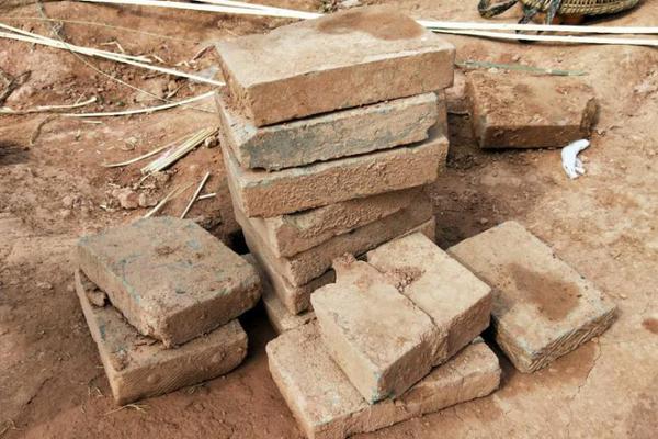 五情天综合基地揭秘幸福秘密 示例图 - 说明文字