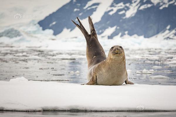 7x7x7x7x任意槽2023新品购买推荐 示例图 - 说明文字