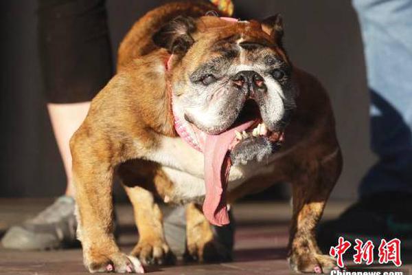 北野未奈hoa∨一101在线观看全集 示例图 - 说明文字