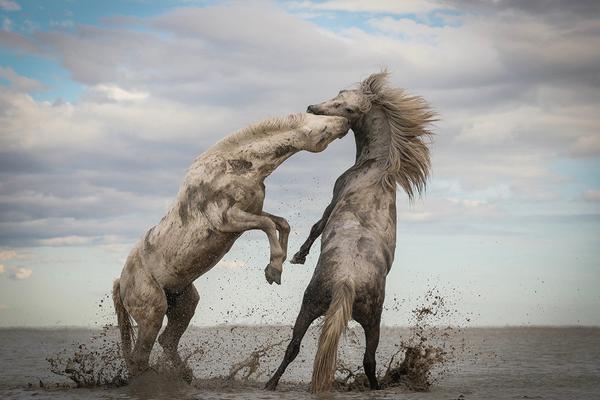 如何精挑交合集1300部作品最优的中文汉字 示例图 - 说明文字