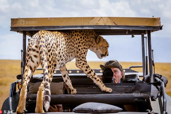 交合集重磅来袭1300部作品如何筛选最佳中文汉字内 示例图 - 说明文字