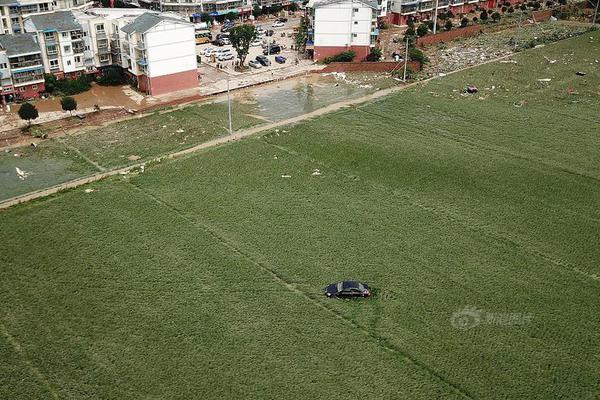 保罗芭芭拉1980年合作-斯顿手颠覆传统流行文化 示例图 - 说明文字