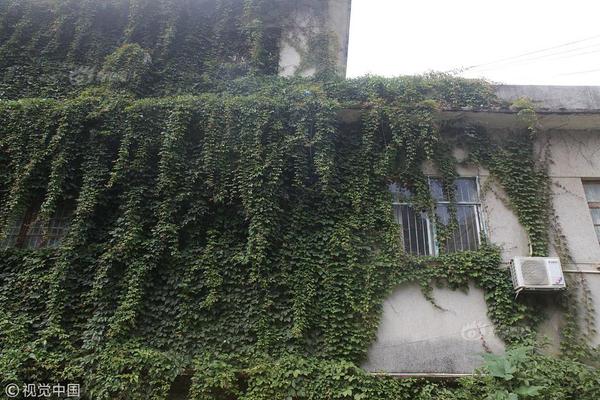 北野未奈hoa∨一101在线观看全集 示例图 - 说明文字