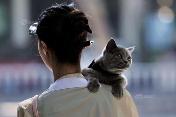 免费观看军情五处第四季电视剧完整版-英国欧 示例图 - 说明文字