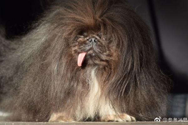 公司公厕小说免费阅读2025最新章节更新 示例图 - 说明文字