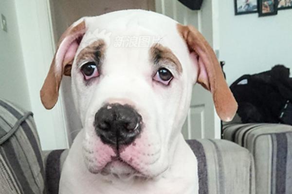 呕吐=美团姑娘怎么约，美团骑手如何进行预约(2024-12-07 21-0) 示例图 - 说明文字