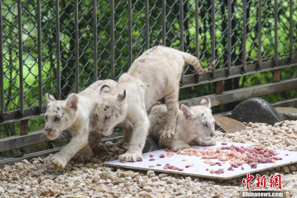 军情五处第四季全集免费在线观看-英国欧 示例图 - 说明文字