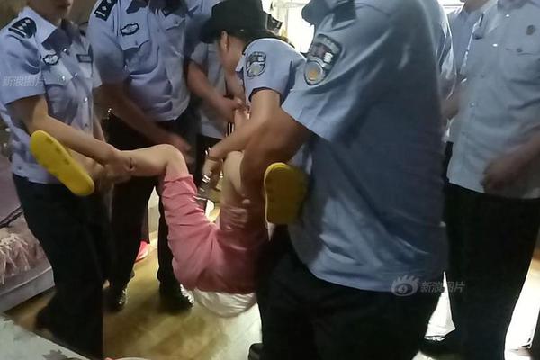 上半年全国社会物流总额1674万亿元，恢复稳定态势持续 示例图 - 说明文字