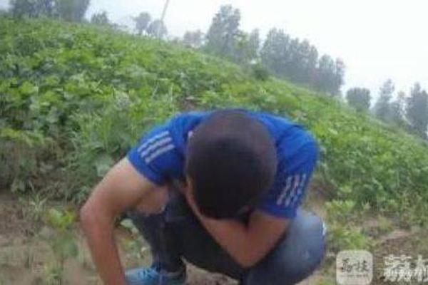 在城市乡村间 gary农民工的奋斗故事 示例图 - 说明文字