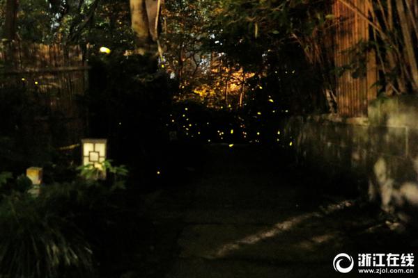 尽情在房间里玩耍游戏冷狐版下载-2021最新冷狐游戏下载链接 示例图 - 说明文字