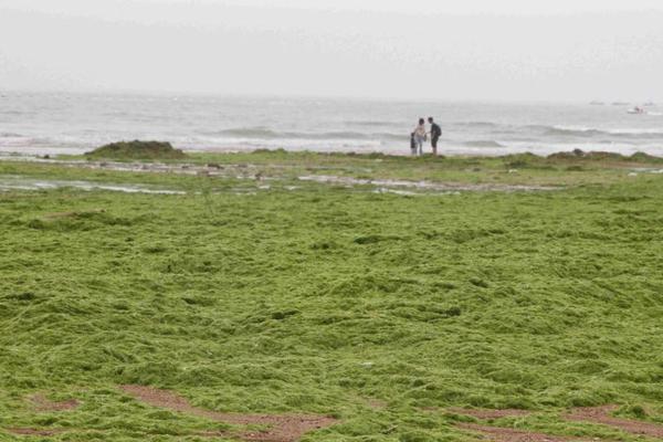 和尚庙里猛如虎免费在线阅读_四缺一_全集最新 示例图 - 说明文字