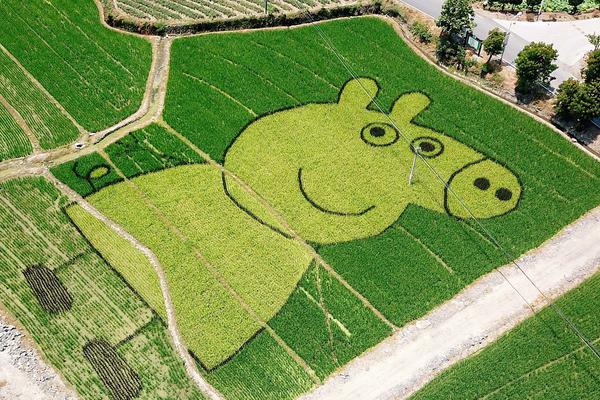 18游戏入口指南，全方位避免问题和风险 示例图 - 说明文字