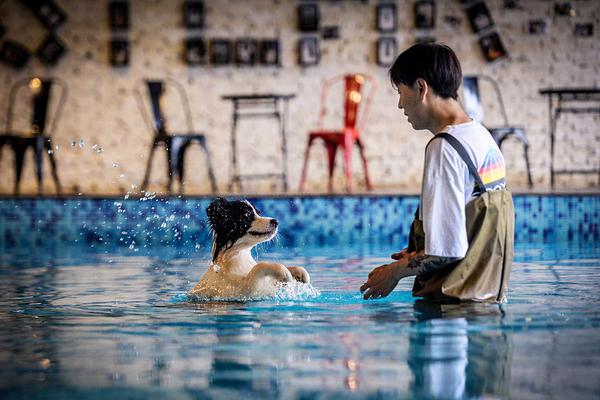 s货大声点c，懒烂你的b，电影高清在线观看 示例图 - 说明文字