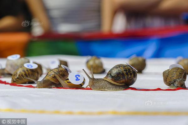 s货大声点c，懒烂你的b，电影高清在线观看 示例图 - 说明文字