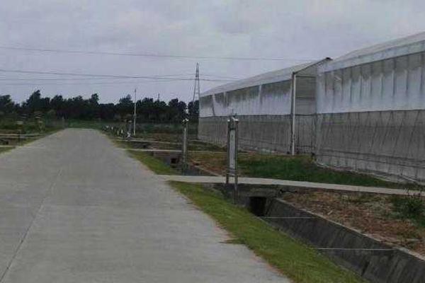 免费观看军情五处第四季电视剧完整版-英国欧 示例图 - 说明文字