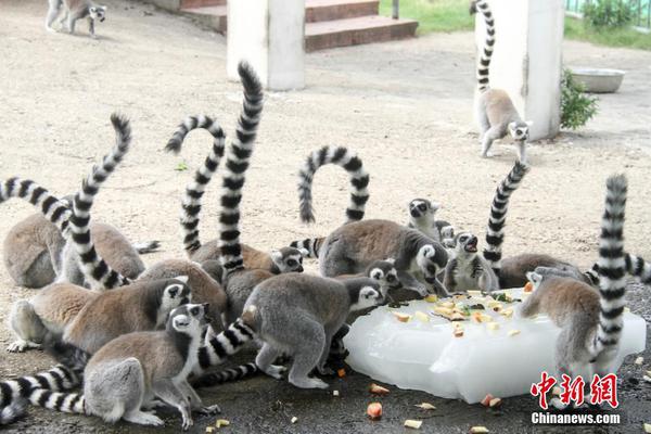 五情天综合基地揭秘幸福秘密 示例图 - 说明文字