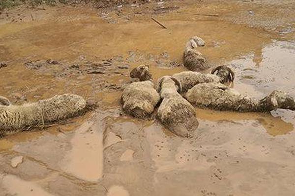 义妹生活免费在线观看-完整版-fhd日漫-新尚影院 示例图 - 说明文字