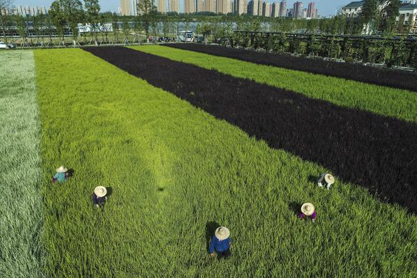 悍城演员表-历史剧完整版免费观看 示例图 - 说明文字