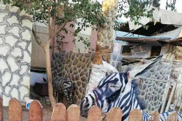 北野未奈hoa∨一101在线观看全集 示例图 - 说明文字