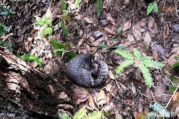女警花闺房处女学习新技能准备晋升 示例图 - 说明文字