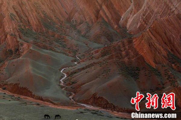 呕吐=美团姑娘怎么约，美团骑手如何进行预约(2024-12-07 21-0) 示例图 - 说明文字