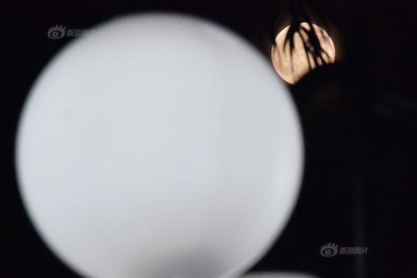 在铜器乐章中感受音乐魅力与舞蹈节奏-张家 示例图 - 说明文字