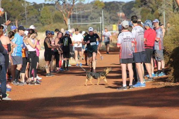 在铜器乐章中感受音乐魅力与舞蹈节奏-张家 示例图 - 说明文字