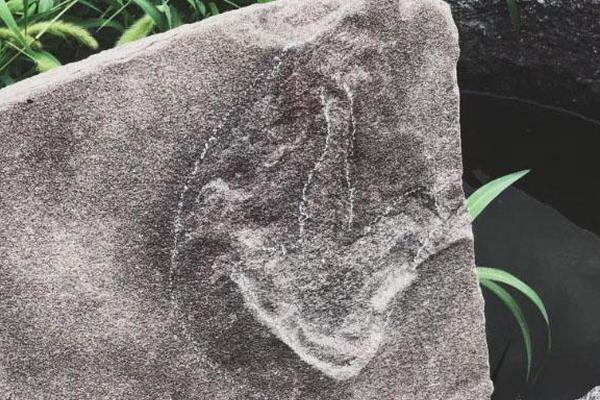 公司公厕小说免费阅读2025最新章节更新 示例图 - 说明文字