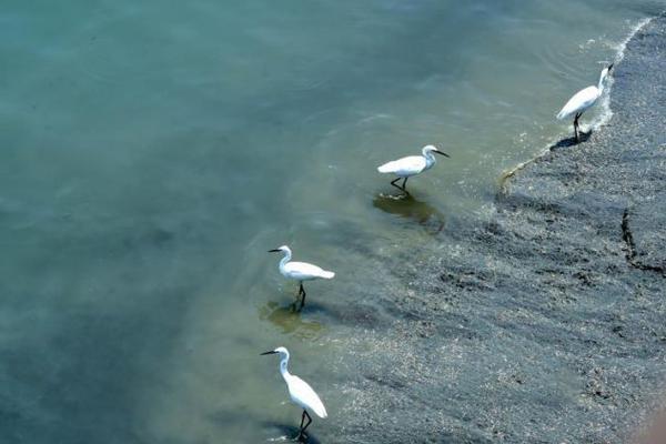 从指尖传出的认真的热情樱花动漫在线播放 示例图 - 说明文字