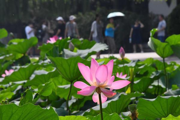 国产av电影精品区一二三区日韩av免费收看 示例图 - 说明文字