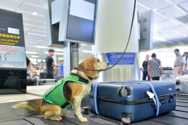 五情天综合基地揭秘幸福秘密 示例图 - 说明文字