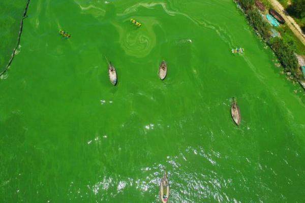 呕吐=美团姑娘怎么约，美团骑手如何进行预约(2024-12-07 21-0) 示例图 - 说明文字